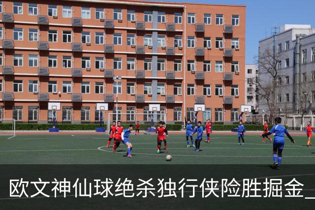 欧文神仙球绝杀独行侠险胜掘金 魔术大胜猛龙