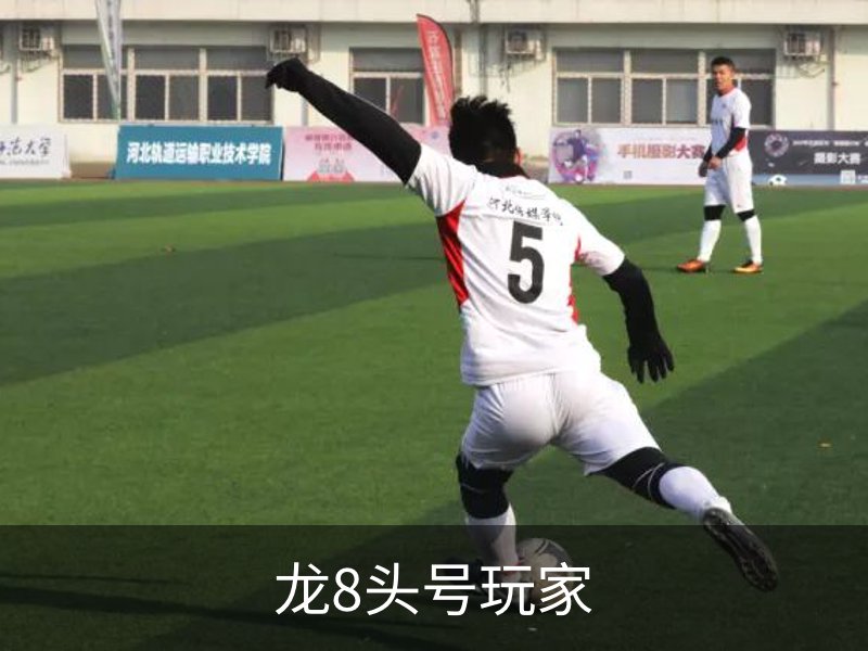 龙8头号玩家简介